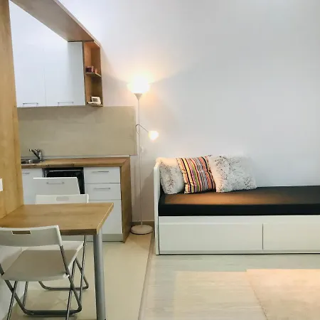 Studio Sabinelor Apartment *