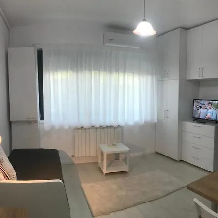 Studio Sabinelor Apartment *